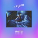 album image Wasted Wasted (feat. Emily Falvey) - Single