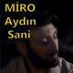 Aydin Sani - Olmadı