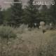 Shallou, Daya - Older