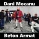 Dani Mocanu - Beton Armat