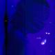 Michael Hakim - Forbidden Love
