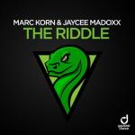 album image Wonderful Life The Riddle - Single