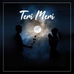 album image Teri Meri