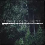 album image Proiectul Balkanic - Magdalena Proiectul Balkanic - Magdalena - Single