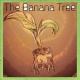 Leo Aram-Downs, Megan Tuck - Apple Seed