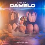 album image Damelo Damelo - Single