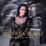 album image Sare Pe Rană Sare Pe Rană - Single