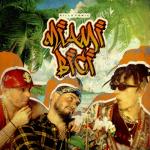 album image Miami Bici Miami Bici - Single