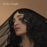 album image Facile facile x fragile