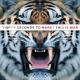 Thirty Seconds To Mars - Kings And Queens