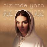 album image Dizimde Yara Dizimde Yara - Single