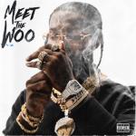 album image Element Meet the Woo 2