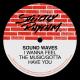 Sound Waves - I Wanna Feel The Music