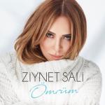 album image Ömrüm Ömrüm - Single