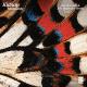 Kidnap feat. Leo Stannard - Moments