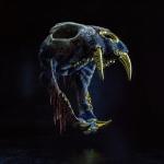 album image Nightmare MF Graves - EP