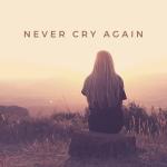 album image Never Cry Again Never Cry Again (Remixes)