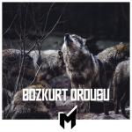 album image Bozkurt Ordusu Bozkurt Ordusu (feat. Tuğba Aksoy) - Single