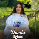 album image Oglum 2020