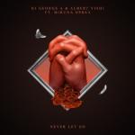 album image Never Let Go Never Let Go (feat. Albert Vishi & Miruna Oprea) - Single