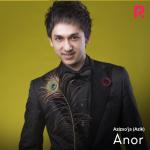 album image Anor