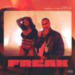 album image FREAK (8d music) FREAK - Single