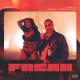 Tyga, Megan Thee Stallion - FREAK