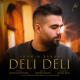 TPM - Top Persian Music - Shahin Banan - Deli Deli - New Track (شاهین بنان -