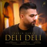 album image Shahin Banan - Deli Deli - New Track (شاهین بنان - Deli Deli - Single