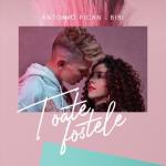 album image Toate Fostele Toate Fostele - Single