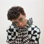 album image comme des garçons (like the boys) isaac's insects