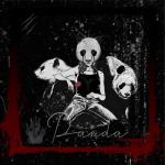 album image Panda Panda - Single
