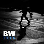 album image Тень Тень - Single