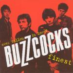 album image No Reply Ever Fallen in Love? Buzzcocks Finest