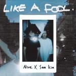 album image Like A Fool Like a Fool - Single