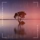 MOUNT, Emdey - Venus (Club Mix) (Club Mix)