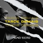 album image Tarde Demais Tarde Demais - Single