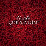 album image Cok sevdim Çok Sevdim - Single