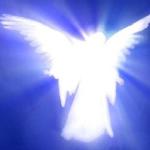 album image Blinding Lights (Slow) Heaven - EP