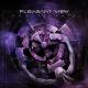 Pleasant View - Into the Broken