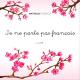 Matheus Fonseca - Je ne parle pas français