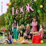 album image Dumhdurum Look