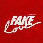 album image Fake Love Fake Love - Single