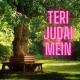 Arsi ft HaN ft S.R.K - omur den dal - Omur den dal - 2014
