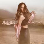 album image Habibi Habibi - Single