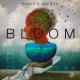 Phaxe, Querox - Bloom