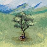 album image Sen Olmasan Armut Ağacı