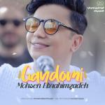 album image Gandomi Gandomi - Single