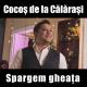 Cocos de la Calarasi - Sunt fericit