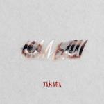 album image Малыш (echo) Малыш - Single